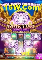 Programa VIP 172win